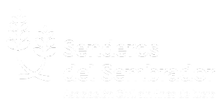 Centro de Día + Vivienda Convivencial + Unidades de Respiro